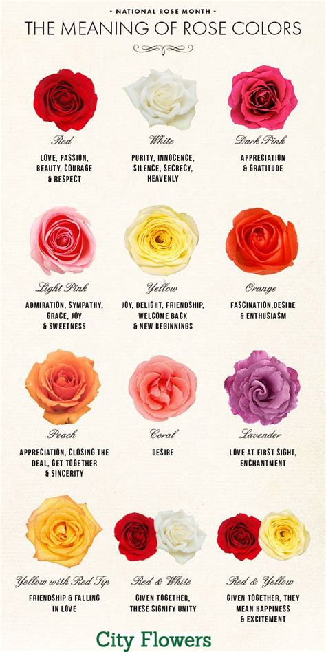 Incorporating Mavical Mixed Roses Bouquet into Your Home Decor: Ideas and Inspiration